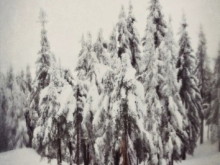 BABYCOLD